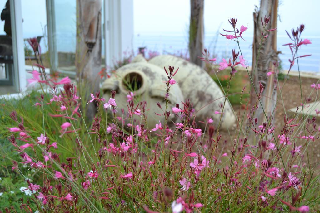 Villa Delle Anfore สโกเปลโล ภายนอก รูปภาพ